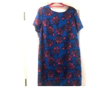 ⭐️J Crew Dress fabulous flowers 🌸